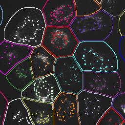 4_Cyto_Stain_dot_overlay_sub