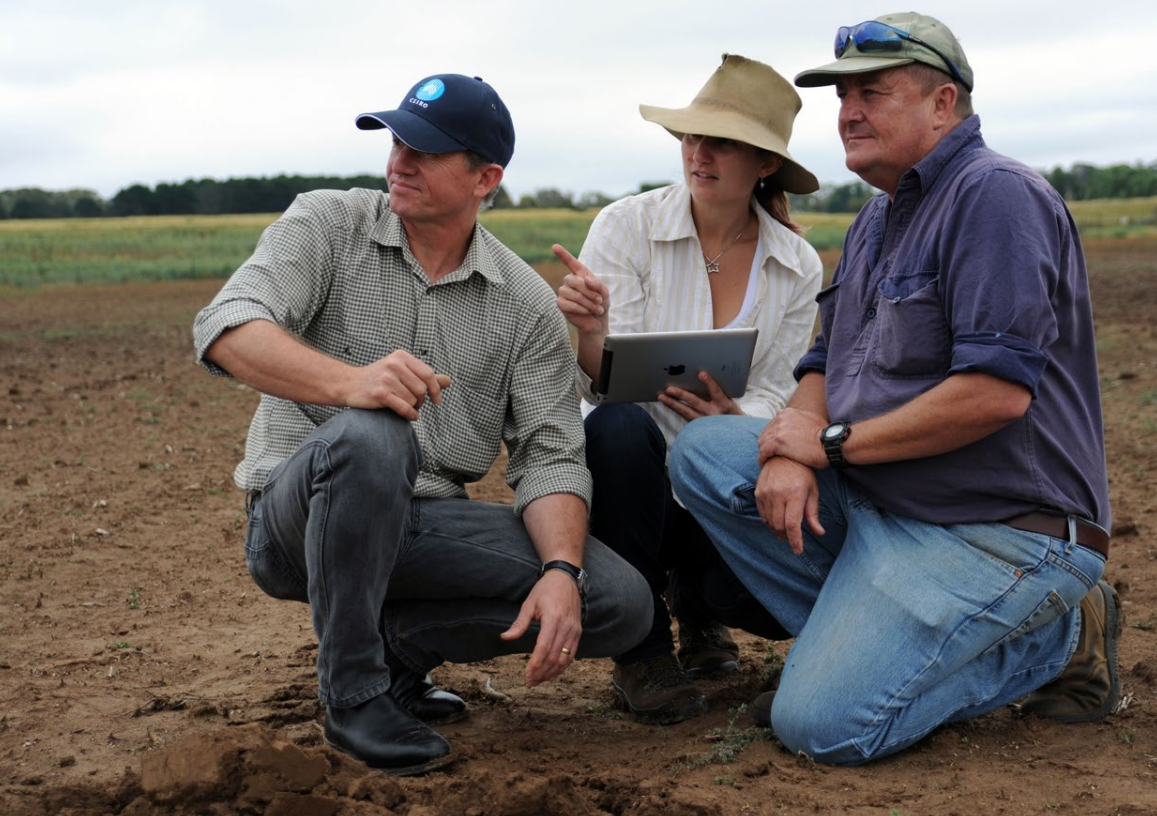 Low Emissions Pathways For Queensland Agrifood Towards Net Zero