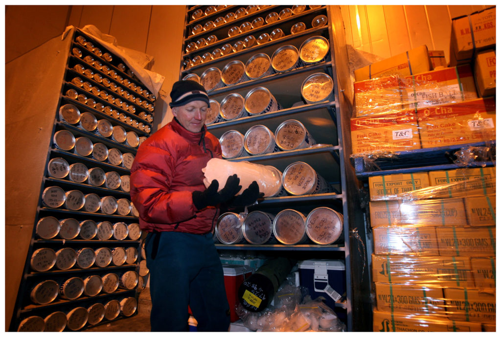 Ice cores in cold storage