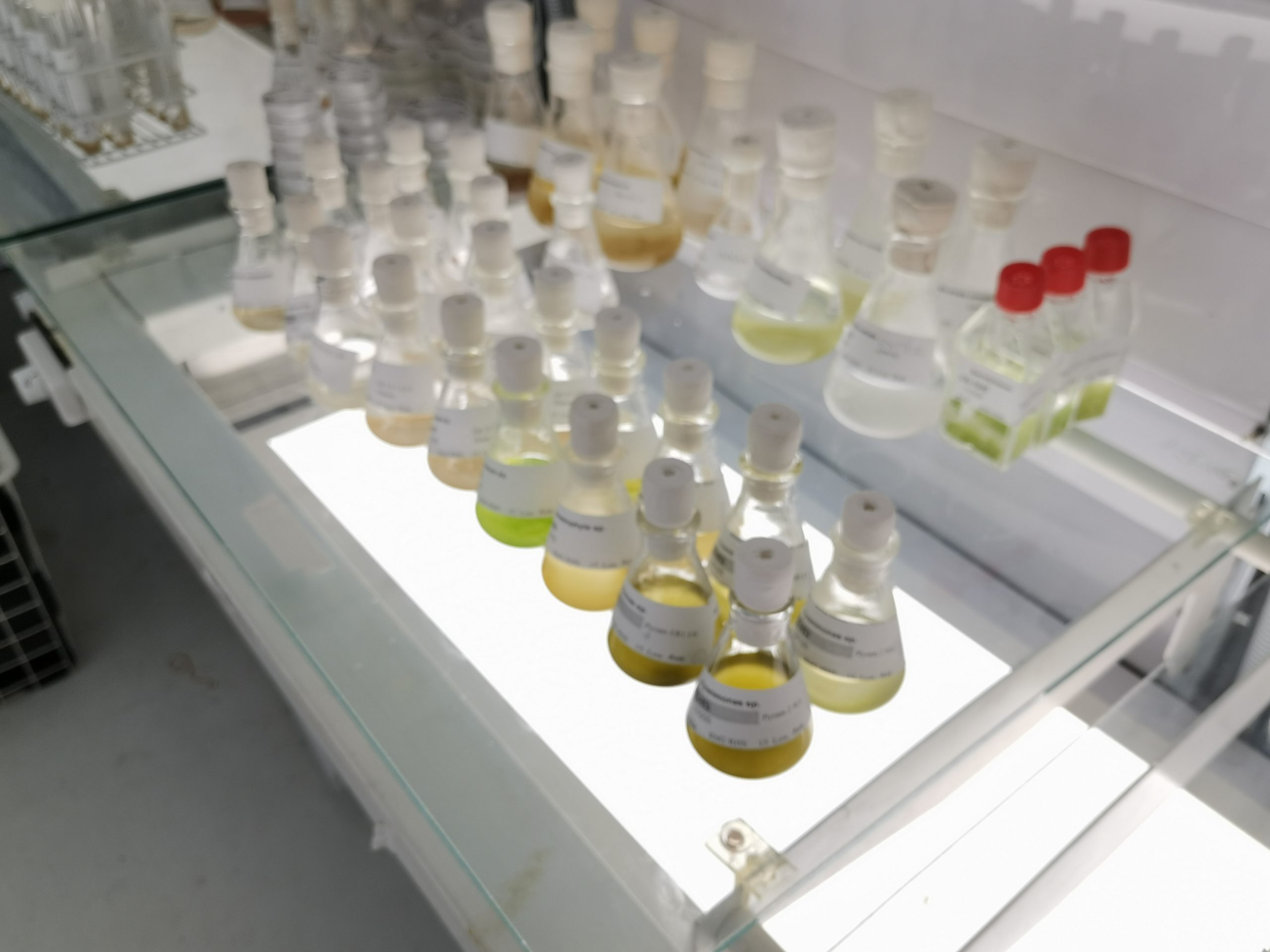 Light units and measurement ANACC Methods and Materials