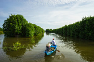 •Mangrove forest with two people in a fishing boat in Ca Mau province, Mekong delta, south of Vietnam