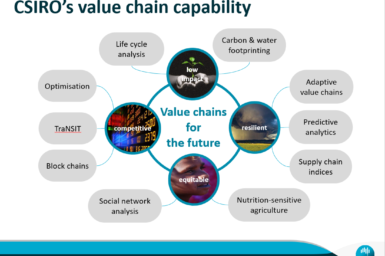 This is a graphical depiction of CSIRO's value chain capability, mapped against four value chain priorities: competitiveness, low resource impact, resilience and equity.