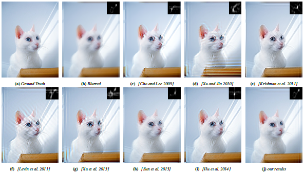 Images of cats