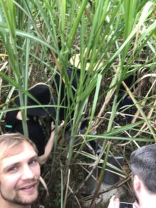 Digiscape Postdoctoral fellow, Dr Yuri Shendryk, and the team in a cane field near Cairns