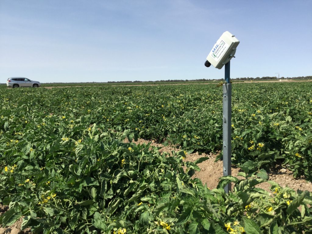 A sensor in a field