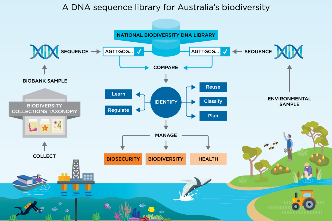 National Biodiversity DNA Library