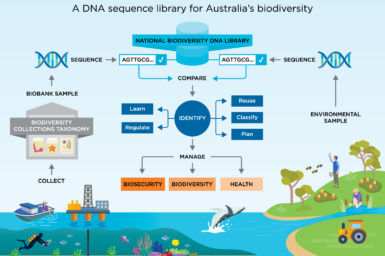 An illustration of landscapes and seascapes with people collecting samples to have the DNA detected. It also depicts submitting the DNA sequence into a DNA library database, so a comparison can be made and a species determined. The information can help with biosecurity, biodiversity and health initiatives.