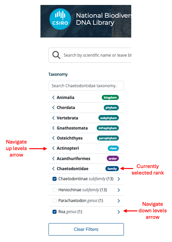 Image of Taxonomy filter