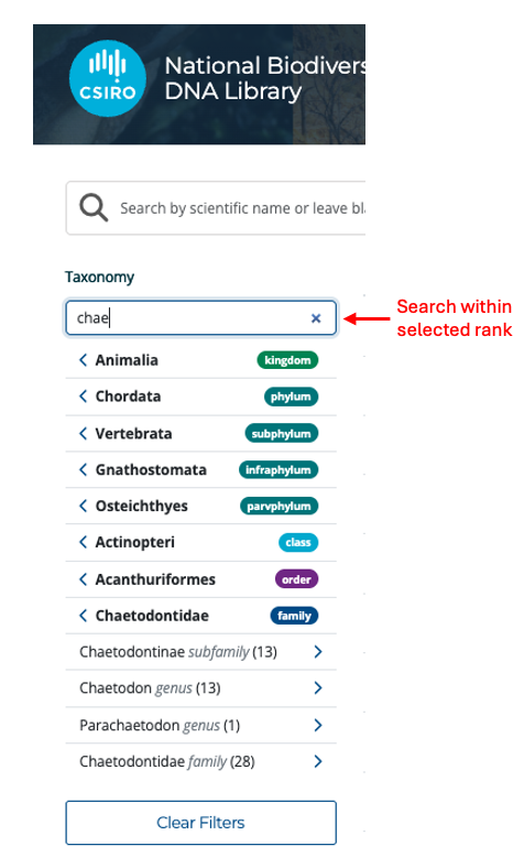 Image of taxonomy filter search