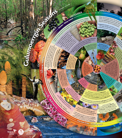 indigenous-seasonal-calendar-methodology-decisions-strategic