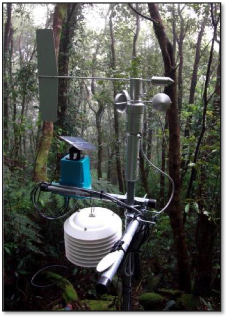 Wireless sensor nodes in Queensland's Springbrook National Park used to monitor rainforest regeneration. 
