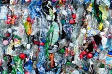 plastic bottles flattened and squashed together for recycling