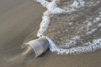 plastic cup lying on a beach