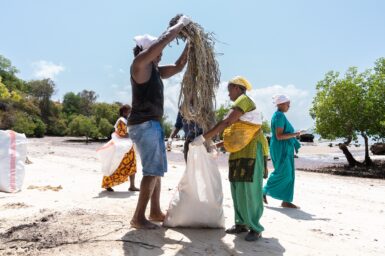 People from Ocean Sole putting rubbish in a bag on the beach