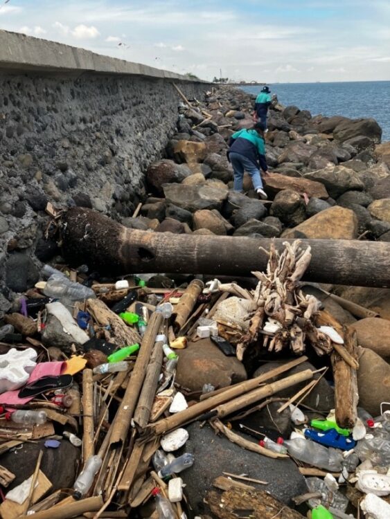 Establishing a baseline of marine plastic litter in the Philippines ...