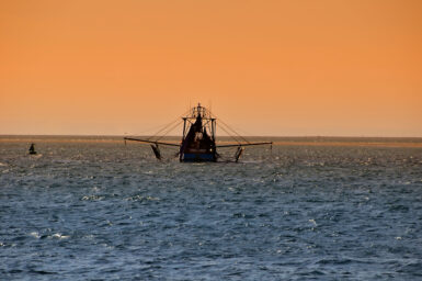 fishing boat on the sea with an orange sky as the background