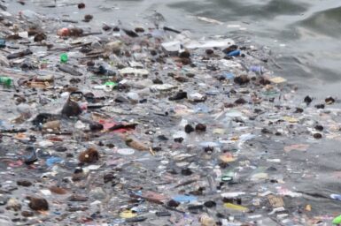 plastic pollution floating on ocean surface