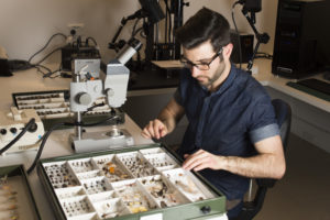 A young man siting at a bench with a drawer of insect specimens in front of him and a microscope to his left.