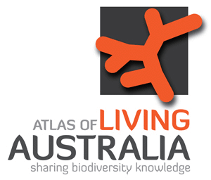 A stem diagram, coloured orange with the words underneath, Atlas of Living Australia, sharing biodiversity knowledge