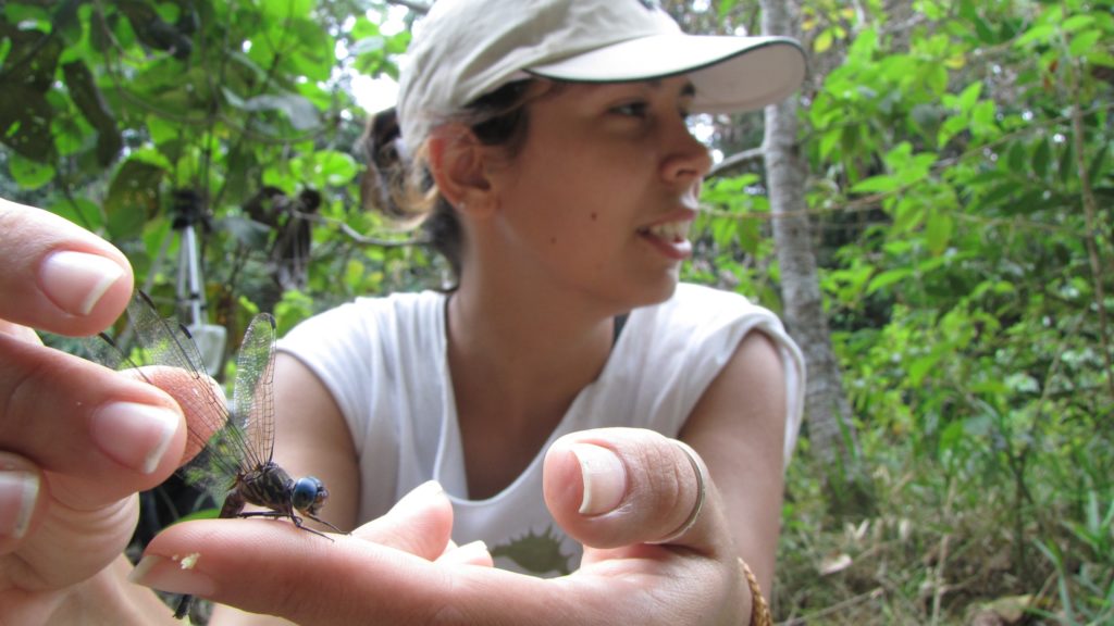 A woman holding a dangonfly gently on her finger.