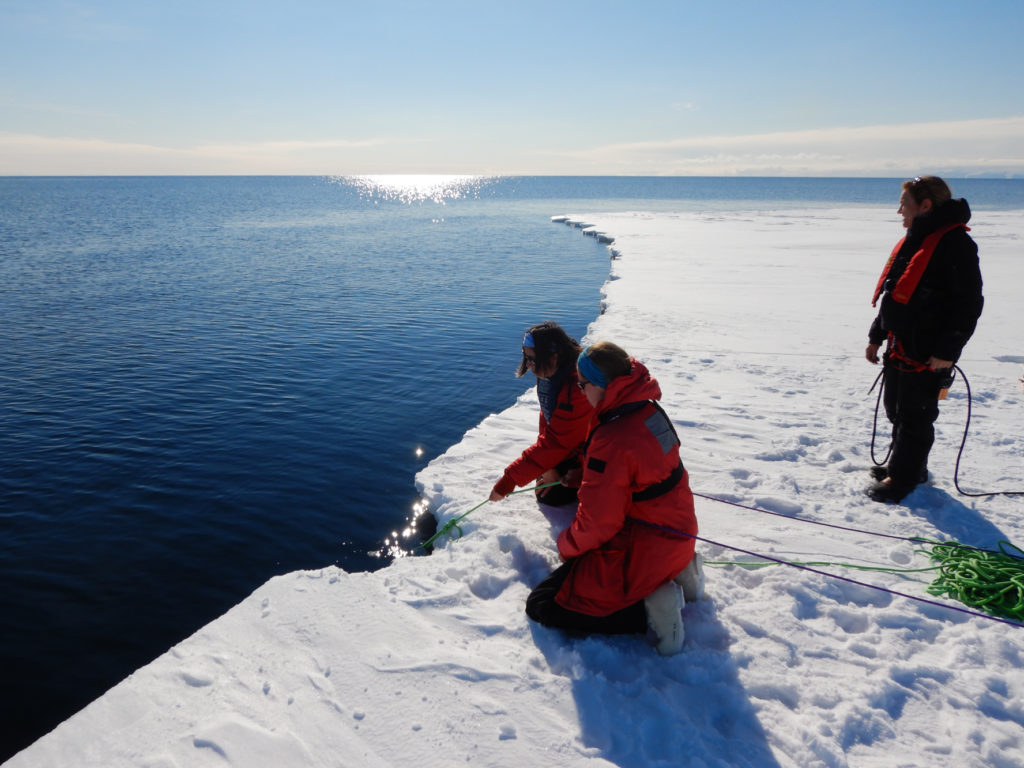 Three woman on sea ice at the ocean's edge in Antarctica. Two are kneeling while holding a green rope that is going into the ocean and the third is standing.