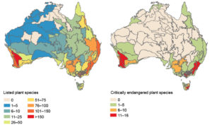 Two maps of Australia with different colours depicting different plant species.