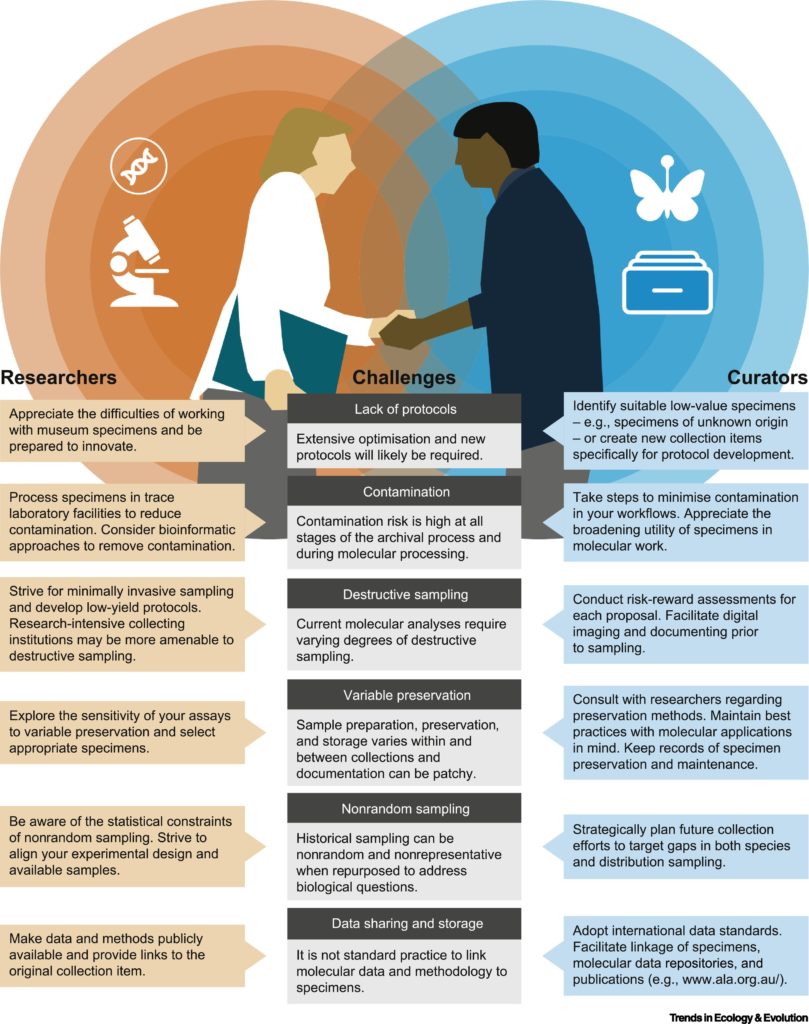 A graphic in orange and blue showing two people shaking hands, with text boxes describing how to use museum specimens for epigneomic research.