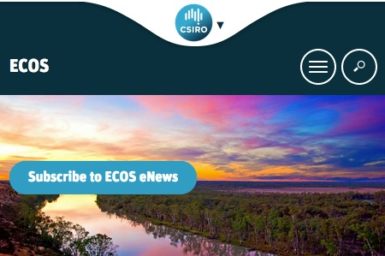 Ecos website cover image