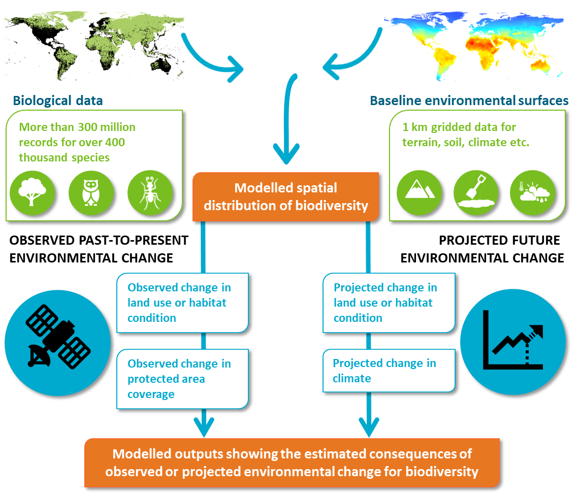 BILBI – Macroecological Modelling