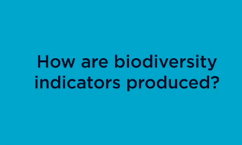 LOOC-B – Macroecological Modelling