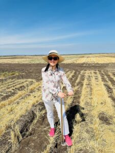 Collecting soil samples from Pampas farming system in Toowoomba, QLD