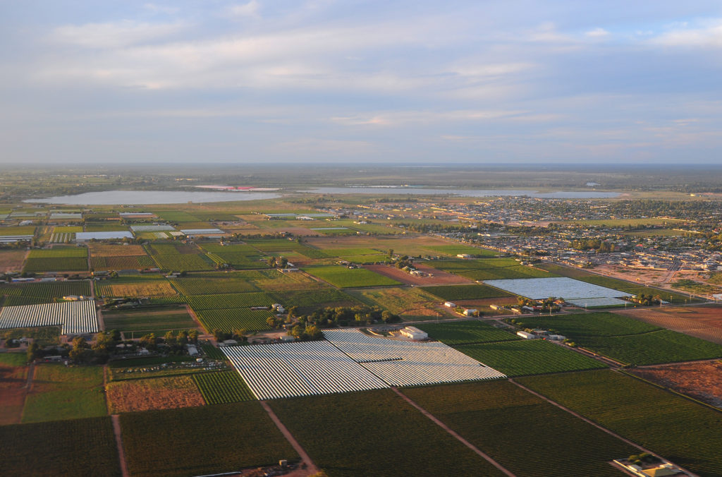 Irrigated agriculture with wetlands in the background. 