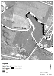 Black and white remote sensing image of a creek with willows mapped