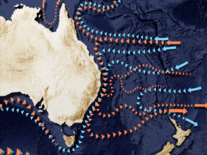 Ocean currents in the Tasman Sea
