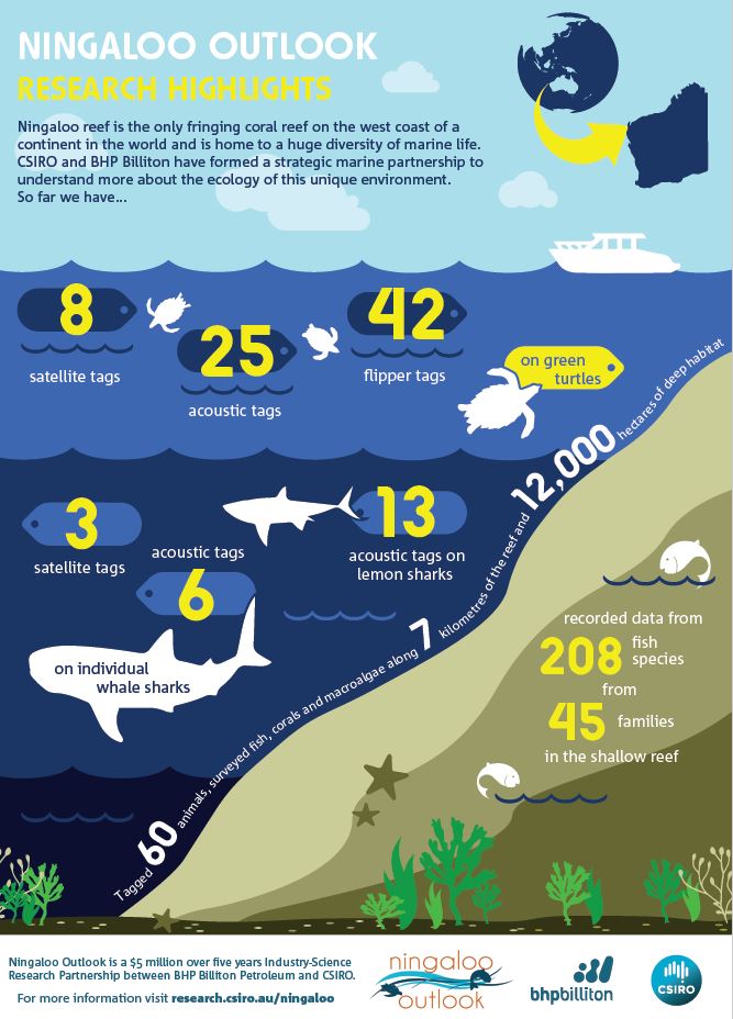 Ningaloo Outlook turns one – Annual Report summary now available – Ningaloo