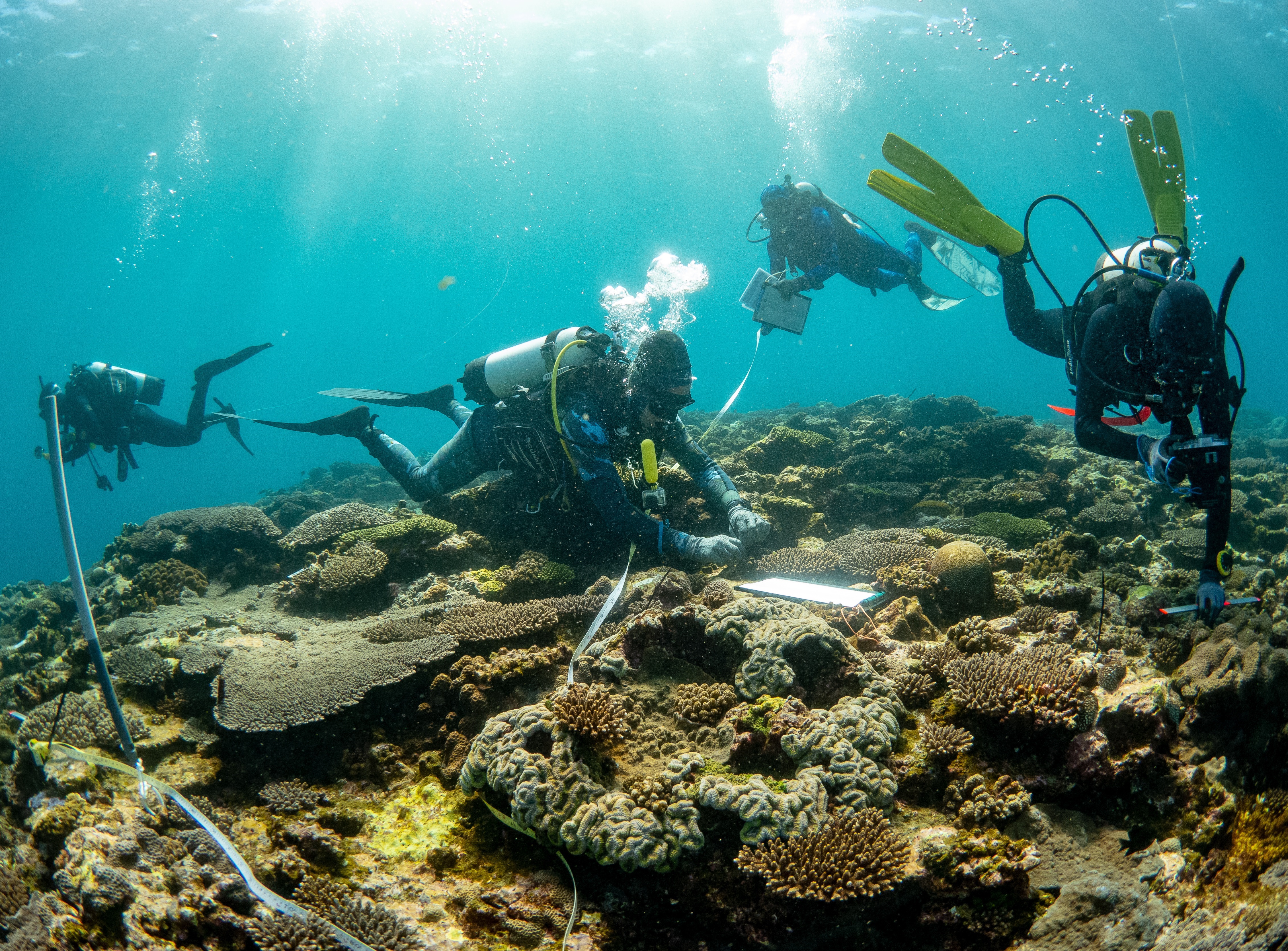 Marine debris levels at Ningaloo… what are we finding? – Ningaloo