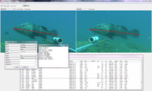 Accurate and precise measurements of fish length from stereo-video imagery using EventMeasure (www.seagis.com.au)