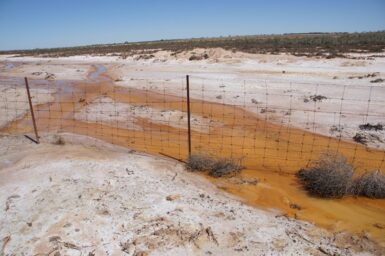 We bioprospect microbial catalysts from various environments, such as this acidic stream, to develop bioprocesses that can operate in extreme conditions.