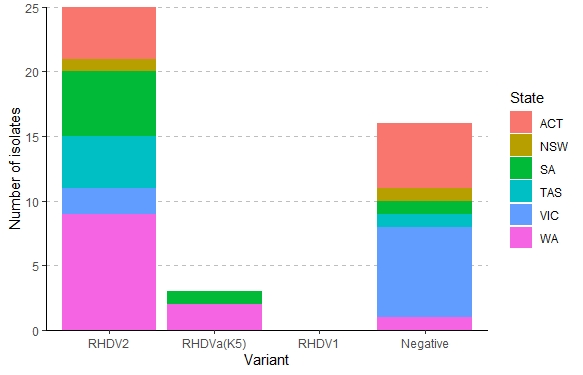 Stacked bar chart showing the number of isolates of each RHDV variant detected during September and October 2020 coloured by state. RHDV2 was the most frequent variant detected in all states. K5 was detected in WA and SA. RHDV1 was not detected. 16 samples were negative for RHDV.