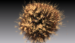 3D mapping of Forest
