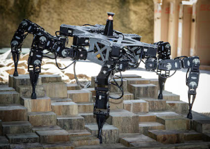 Six Legged Robot