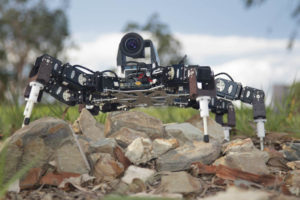 Six Legged Robot