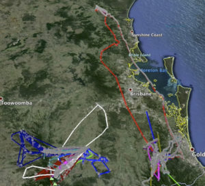 Captured trajectories from many bats in the south east QLD area.