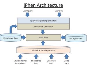 Workflow diagram