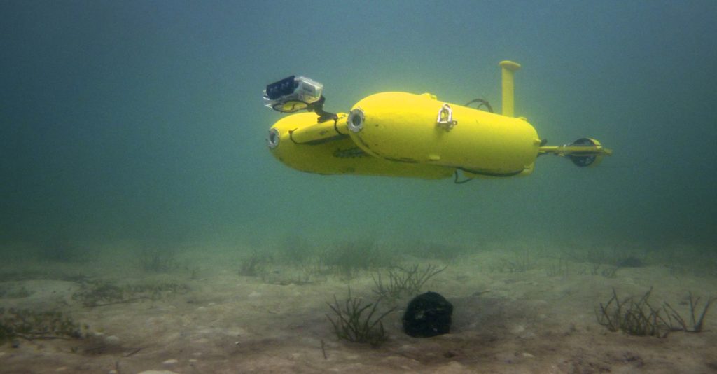 Starbug, roaming through the ocean