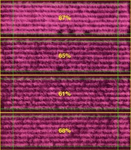 Drone scan of crops