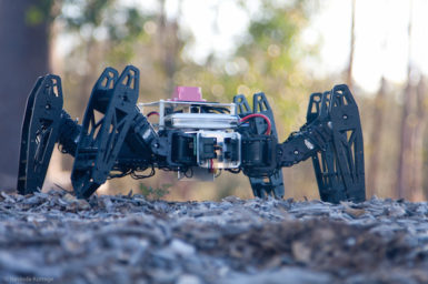 Six Legged Robot