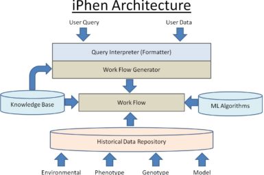 Workflow diagram
