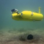 Starbug, roaming through the ocean