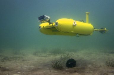 Starbug, roaming through the ocean